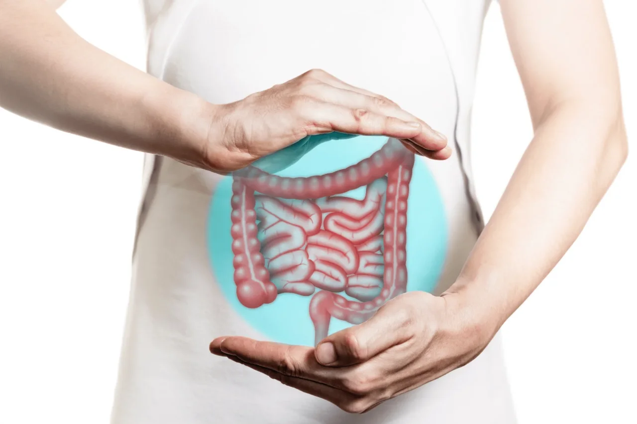 Che cos’è il chilo intestinale? Ecco come si forma e a cosa serve