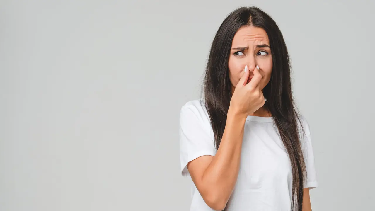 Puzza persistente in casa? Metti subito queste piante e l’odore sparirà in poche ore