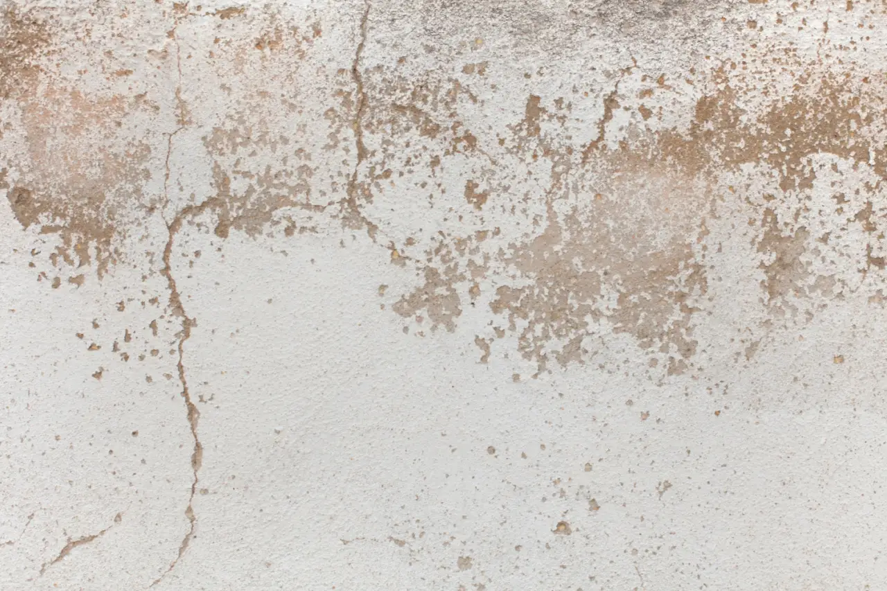 Il trucco economico e rapido per coprire un muro rovinato o senza intonaco senza spendere in ristrutturazione