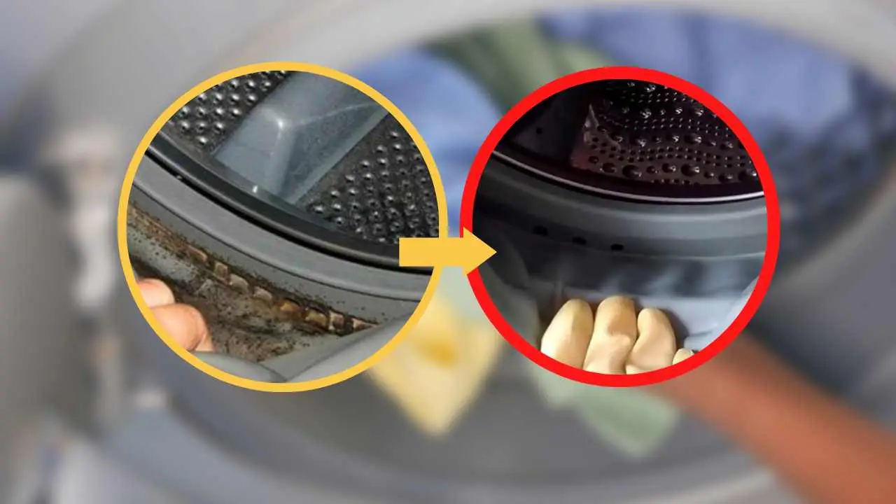 Se trovi pezzi neri nella lavatrice è muffa: ecco il trucco per pulirla subito