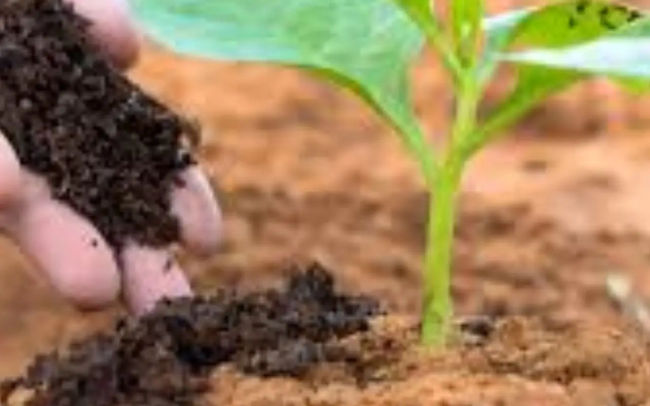 Il trucco per avere sempre terriccio fertile