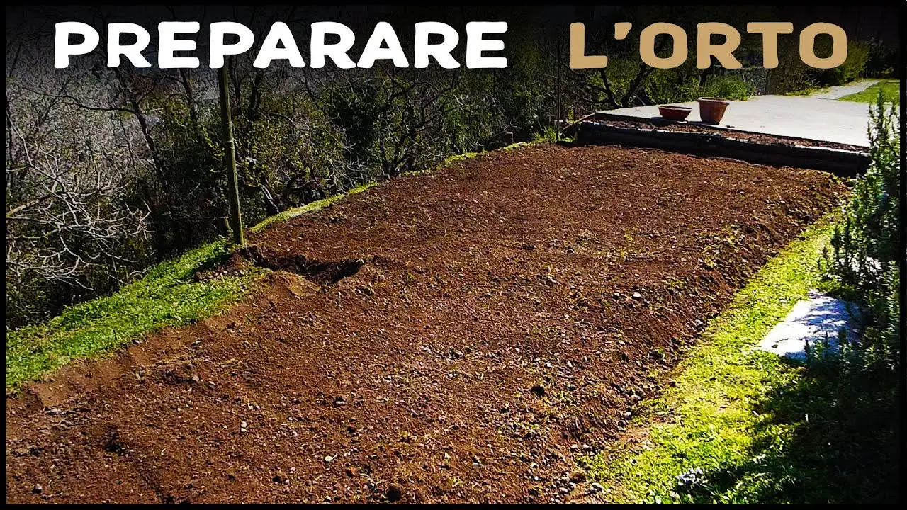 Hai lasciato l’orto vuoto? Ecco cosa puoi piantare subito per non sprecare spazio